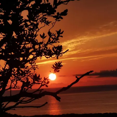 Lesia Apartment Corbara