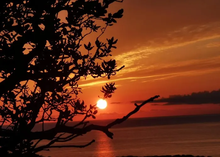 Lesia Apartment Corbara