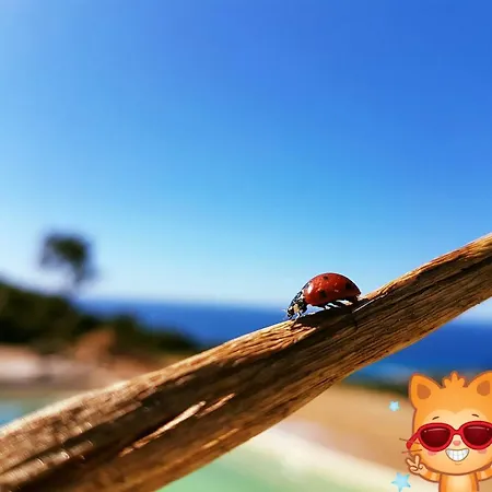 Διαμέρισμα Lesia