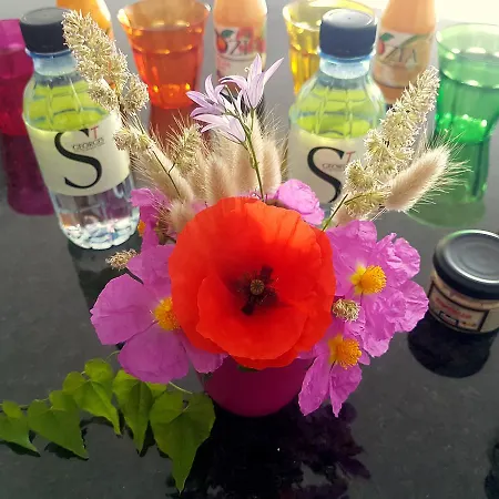 Lesia Lägenhet Corbara