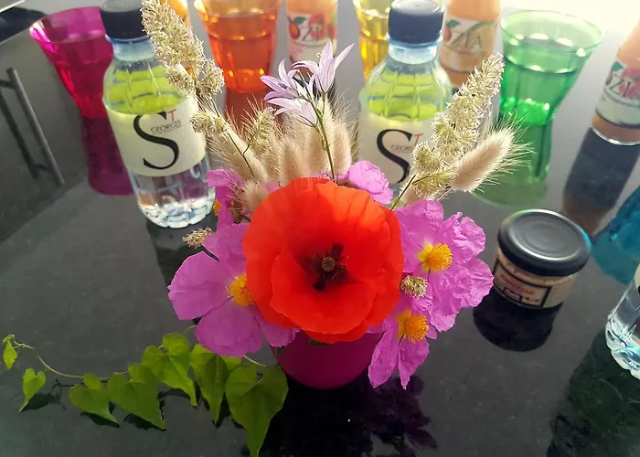 Résidence Lésia Appartement Corbara